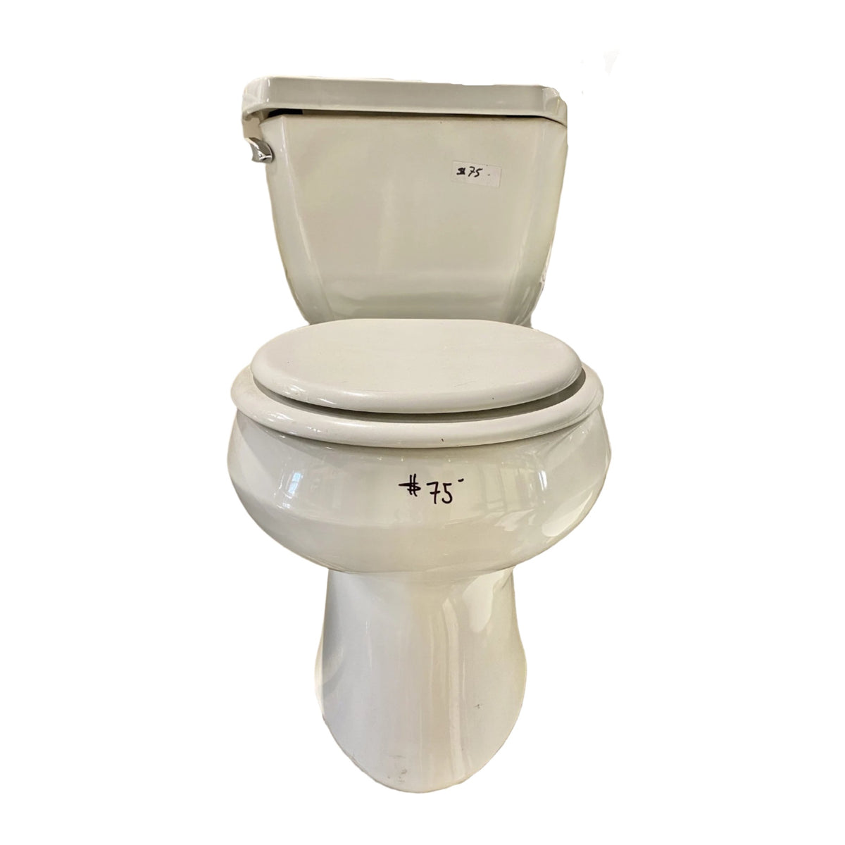 Kohler Toilet 1 TRP