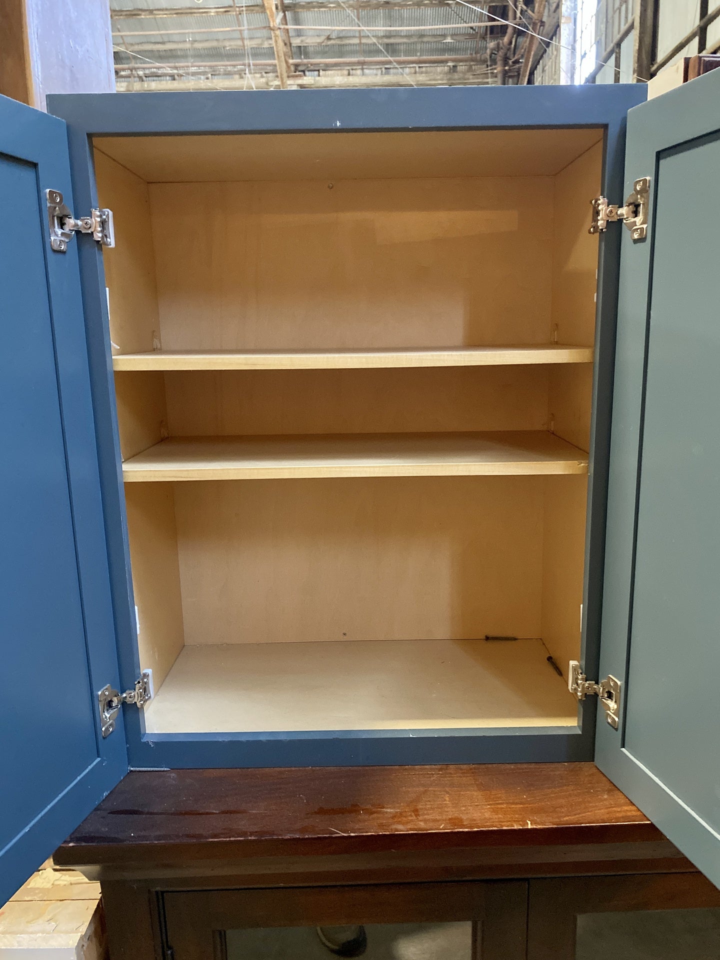 Blue 2 Door Cabinet TRP