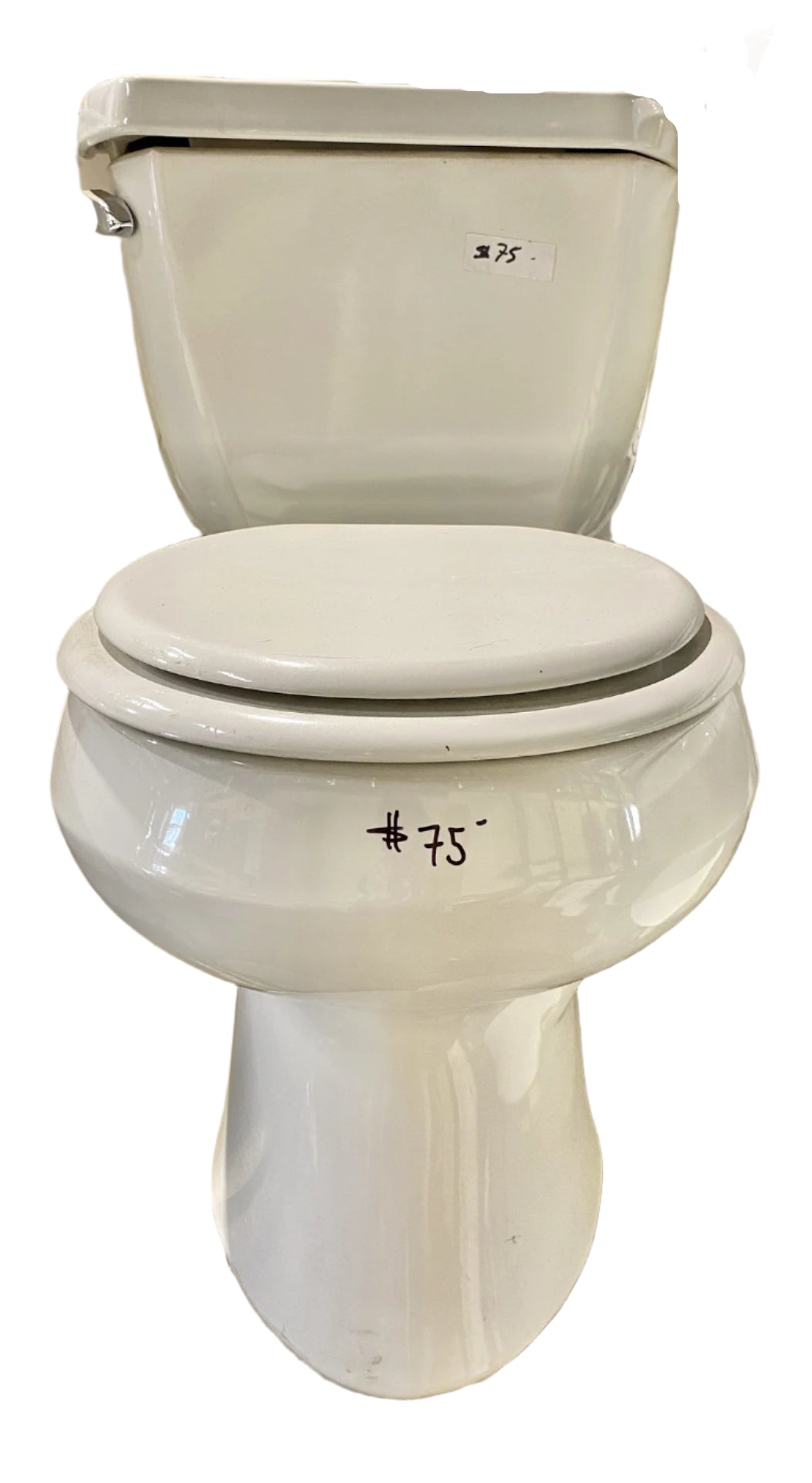 Kohler Toilet 1 TRP