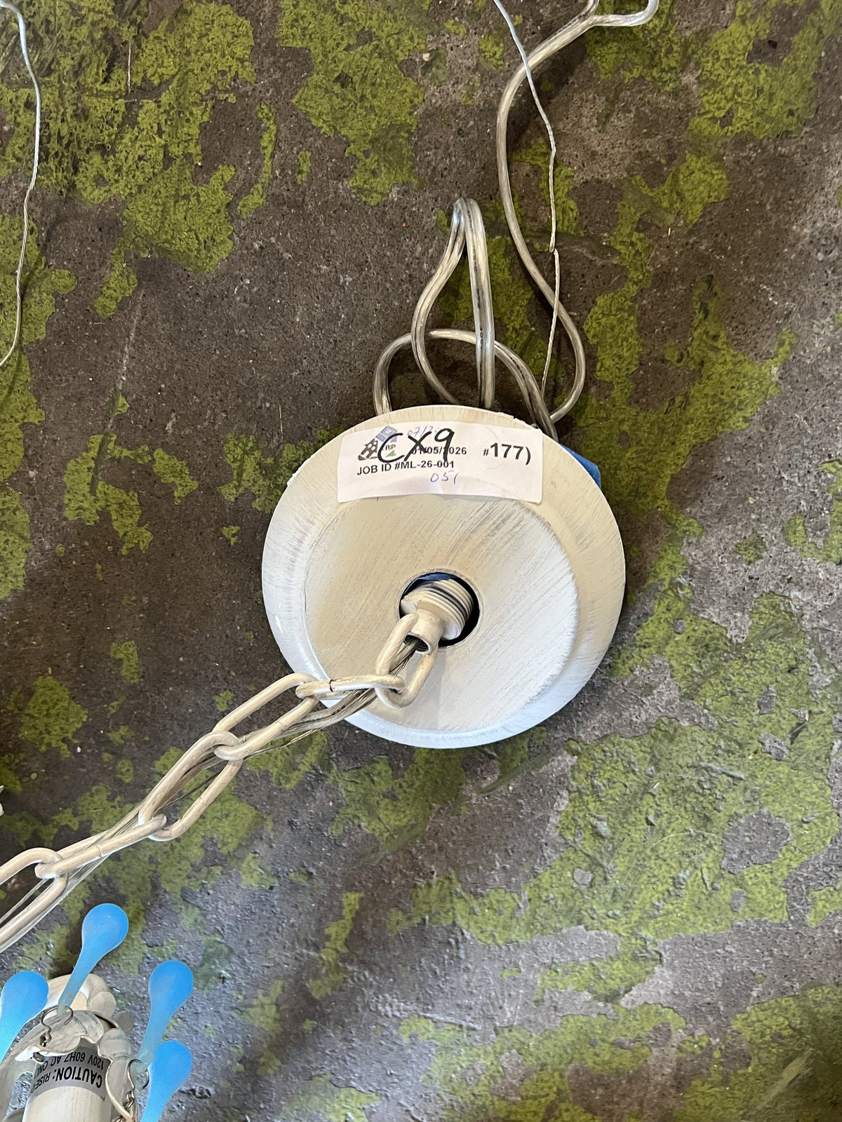 Chandelier · Floral · Cream · Blue Drops · CX9 | The ReUse People Oakland