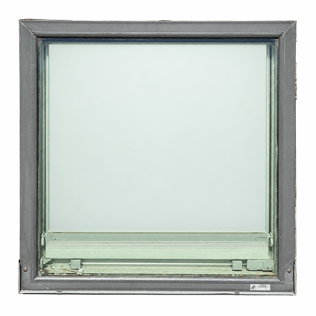Window · Fixed · Skylight · Wood/Clad · 31×31 · TRP