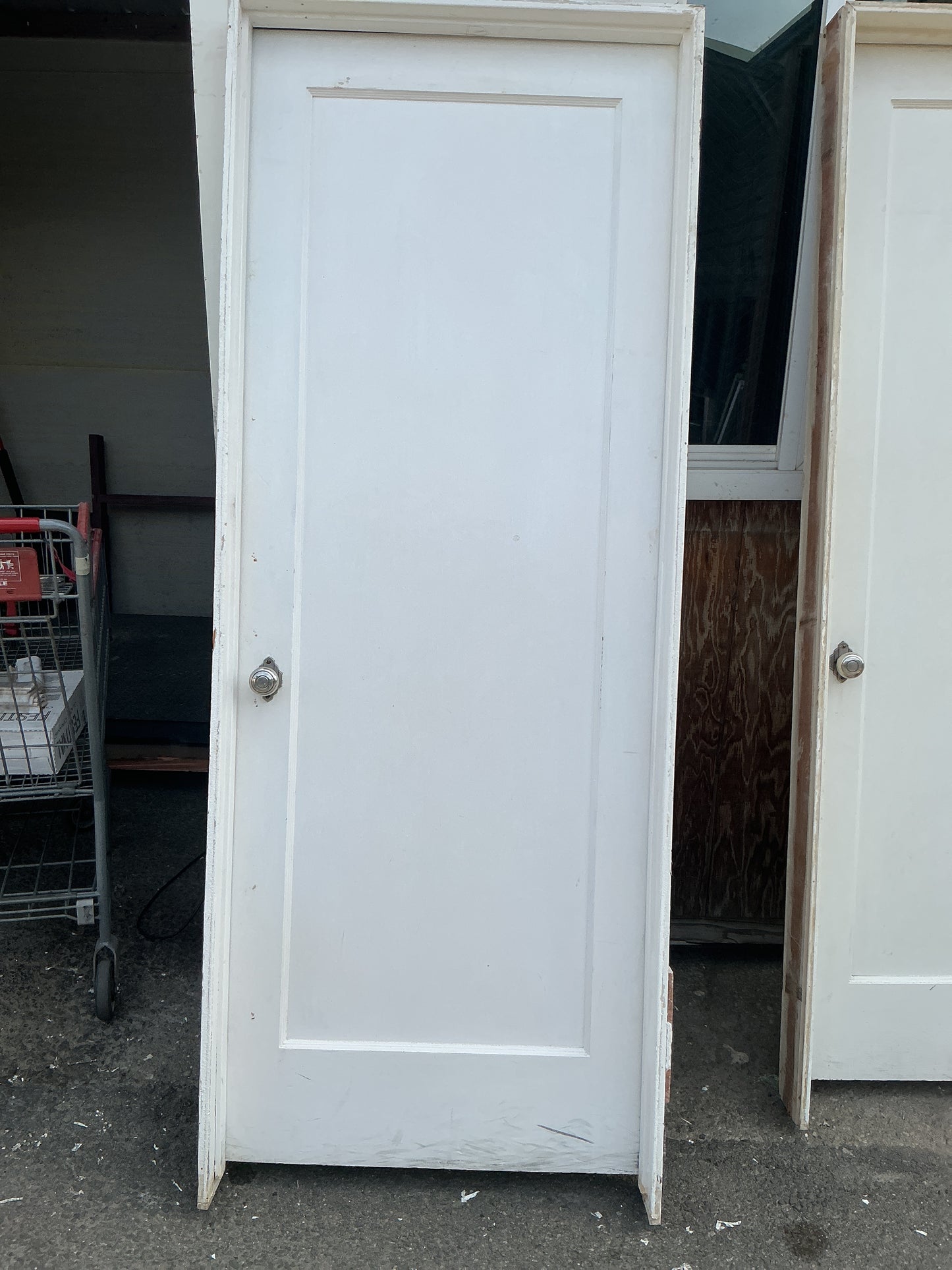 Interior Door, 1 panel, TRP