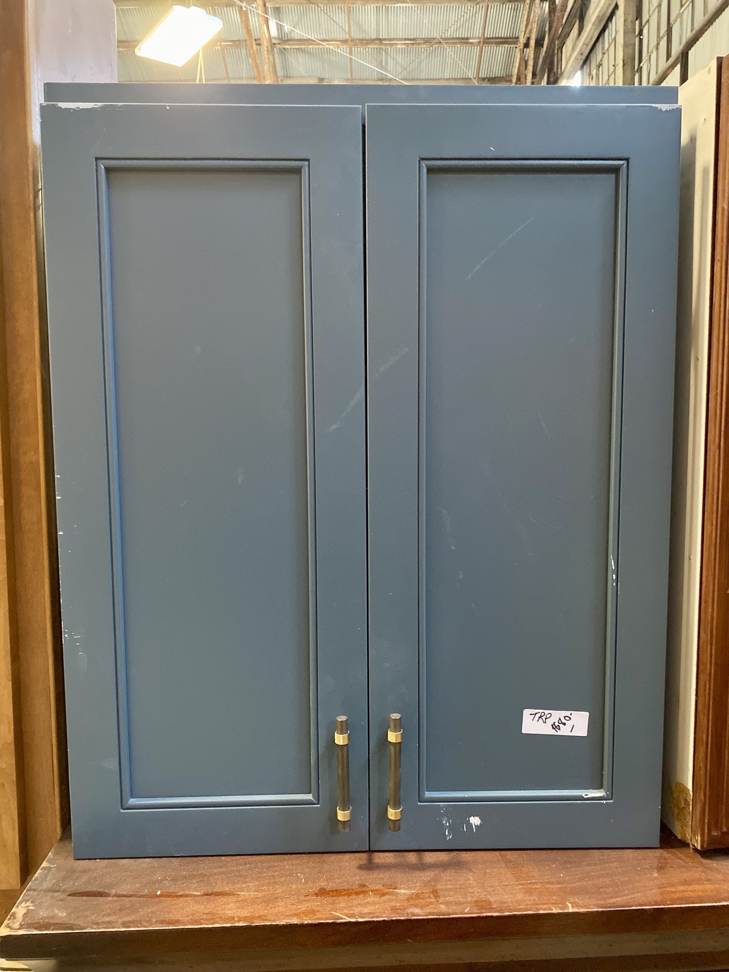 Blue 2 Door Cabinet TRP