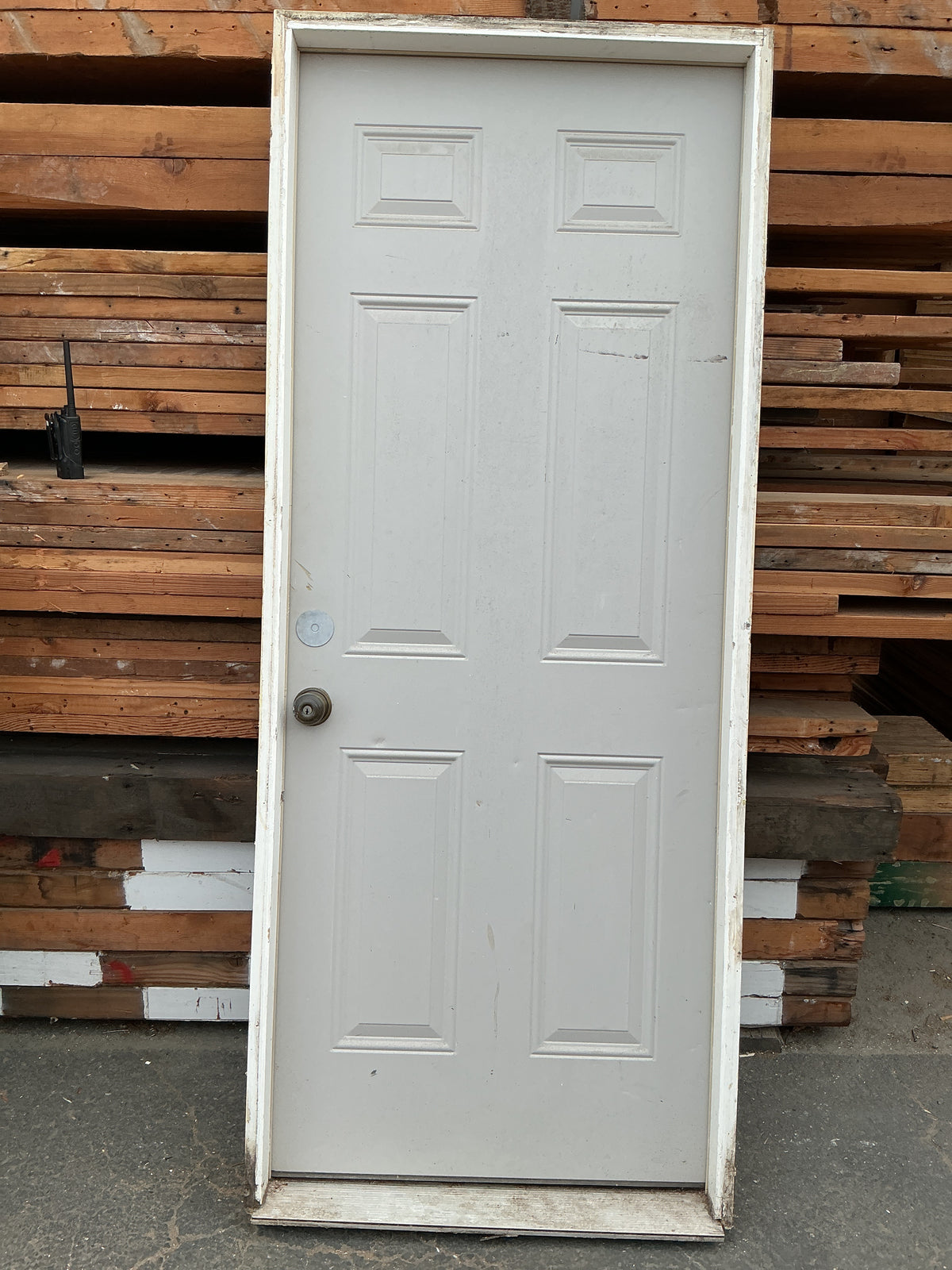 Exterior Door, 6 Panel, CZ5