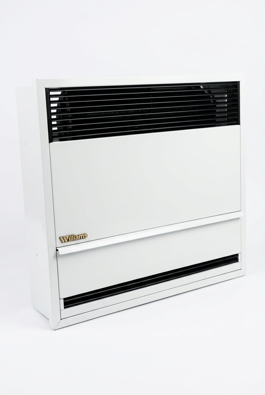 Wall Heater, Williams, Gas, TRP