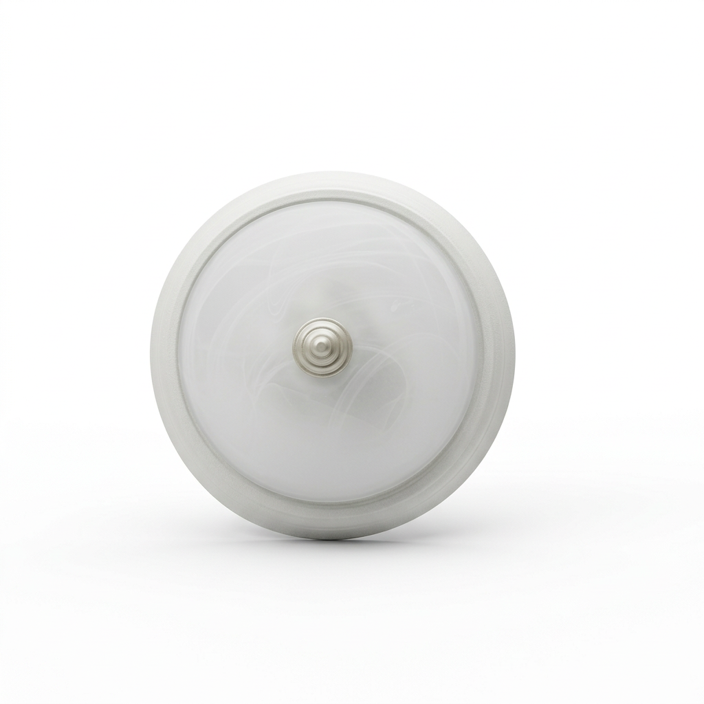 Ceiling Light, TRP