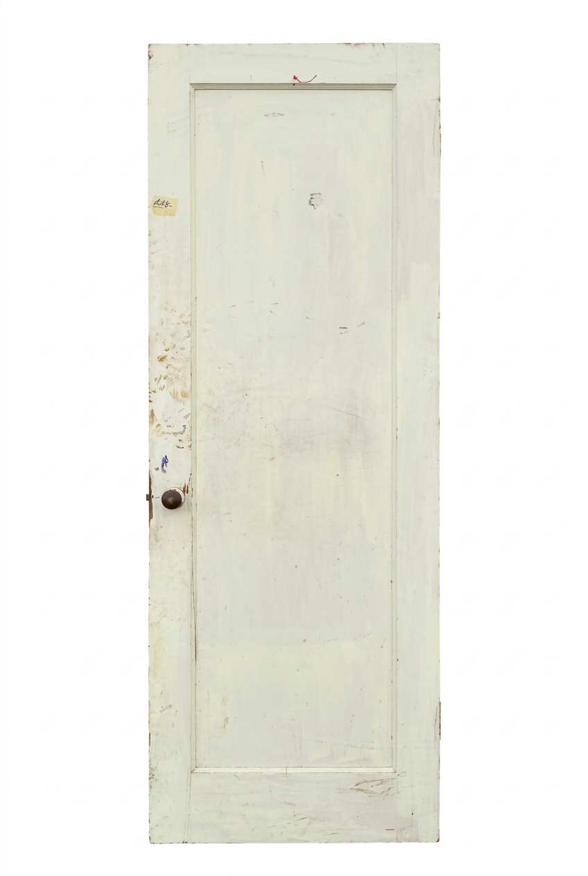 Interior door, 1 panel, CZ8