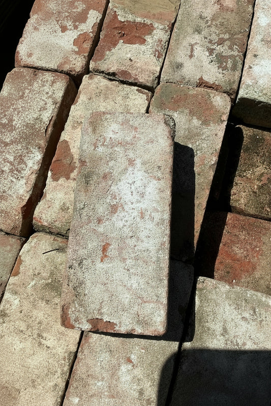 Red Brick, TRP
