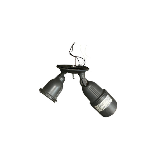Sconce 2 Light Outdoor TRP