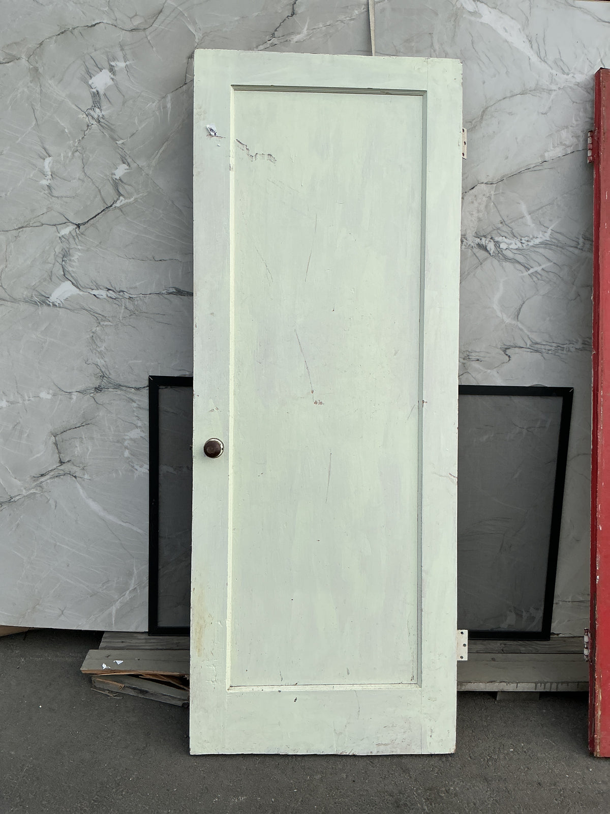 Interior door, 1 panel, CZ8