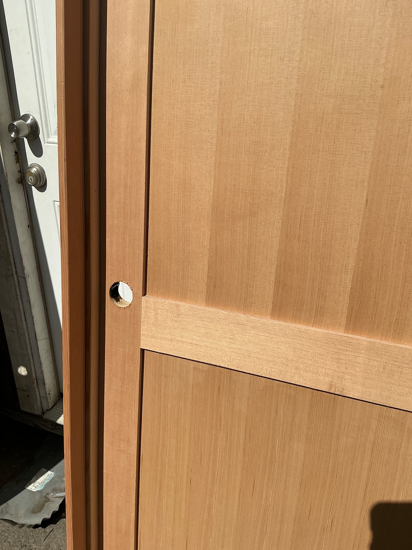 Interior Door, 3 panel Left Swing TRP
