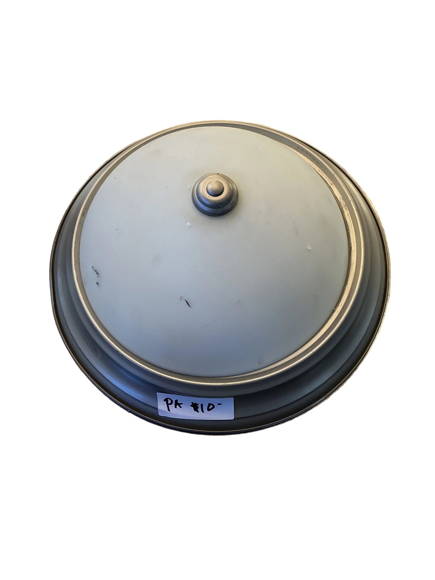 Ceiling Frosted Silver PA TRP