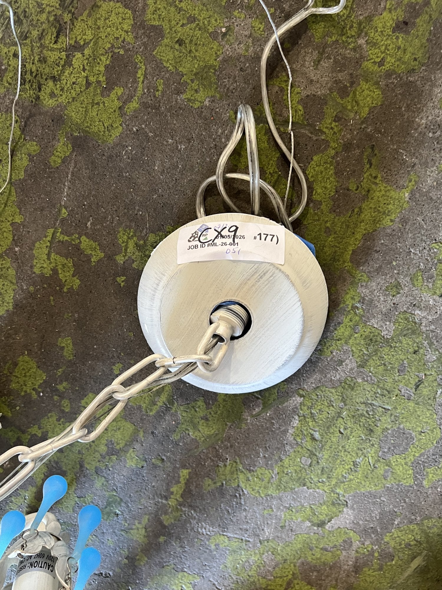 Chandelier · Floral · Cream · Blue Drops · CX9 | The ReUse People Oakland