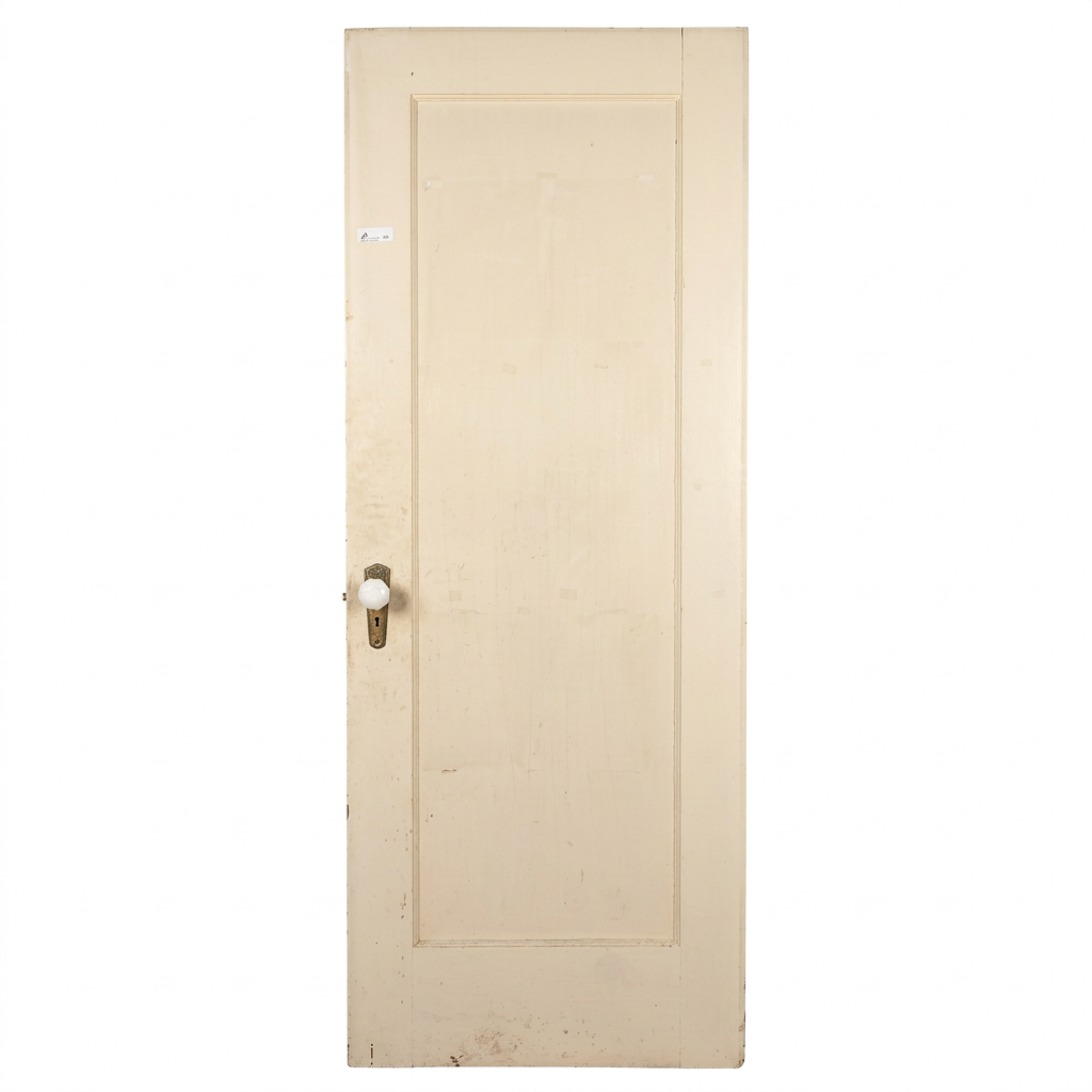 Interior Door, 1 Panel, CZ9