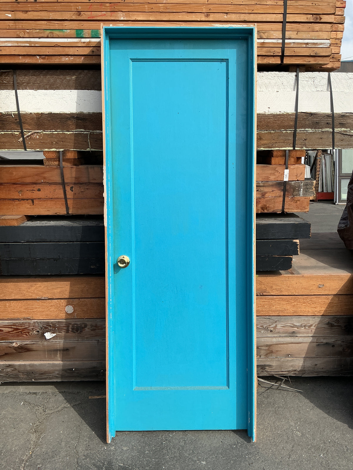 Interior Door, 1 Panel, DA1