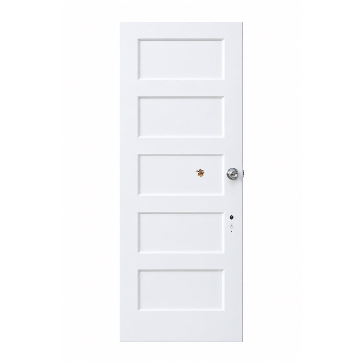 Door · Interior · Left · 32×81½ · TRP | The ReUse People Oakland